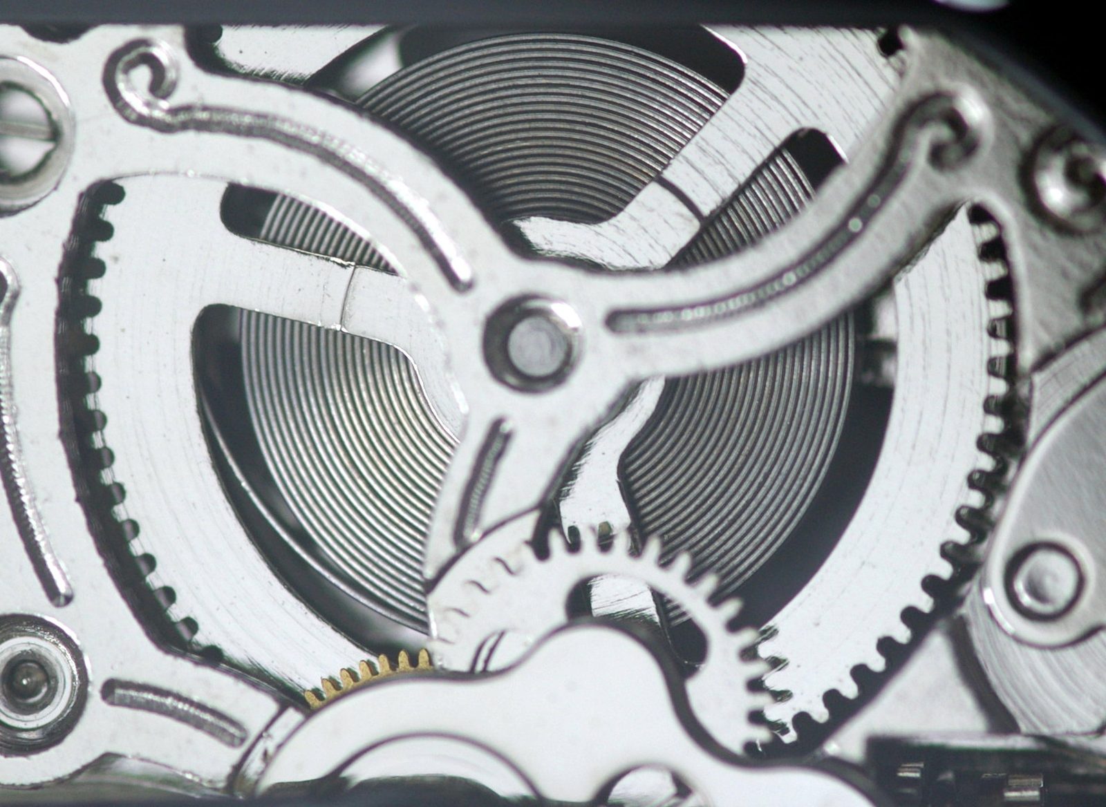 Mainspring barrel detail